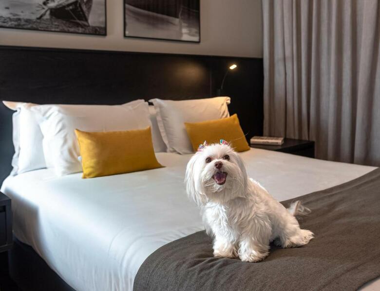 I Am Design Hotel + Residence
