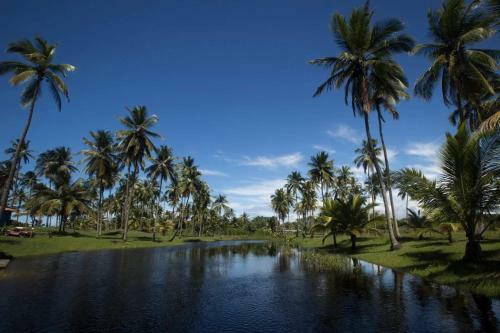 Casa De Praia Mico Le�o