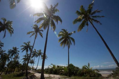 Casa De Praia Mico Le�o