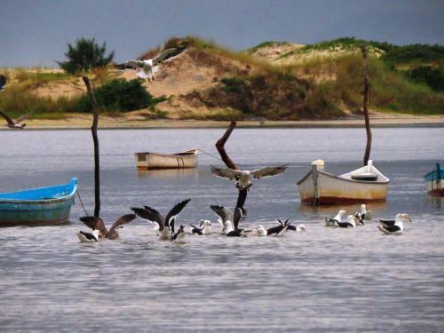 Bed & Breakfast Morada F�nix