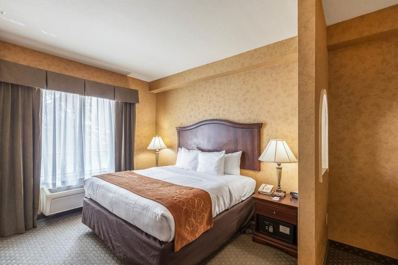 Hotel Comfort Suites Alamo/riverwalk