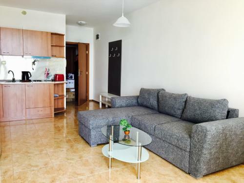Psb Deluxe Apartments Aheloy