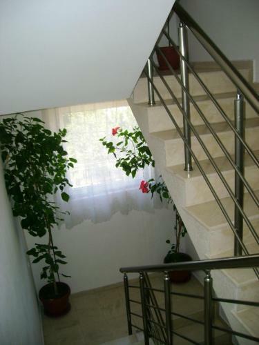 Hostal Guest House Jumbo