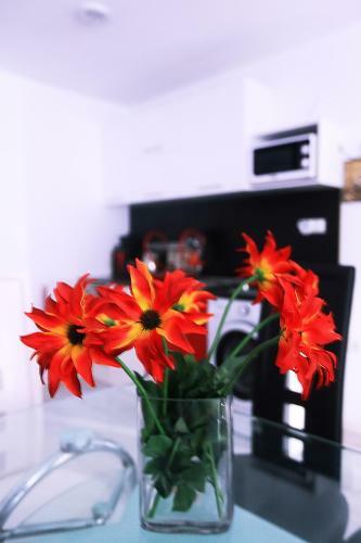 Apartamento Minismart Complex Rainbow Garden And Jacuzzi