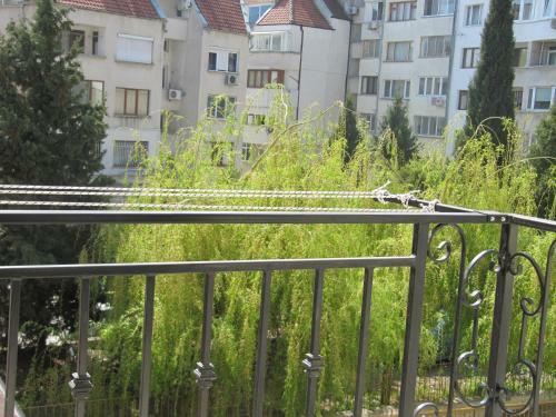 Apartments Flora
