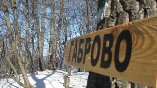 Apartment Shesti Uchastak