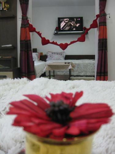 Apartment Shesti Uchastak