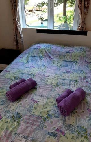 Hostal ???? ?? ????? "??????"