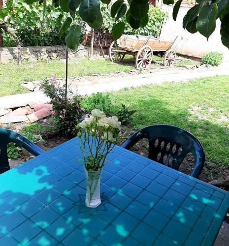 Hostal ???? ?? ????? "??????"