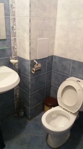 Private Apartment In Sunny House Family