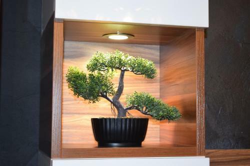 Apartamento Guest House Amaya