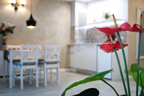 Apartamento Shahbazian House