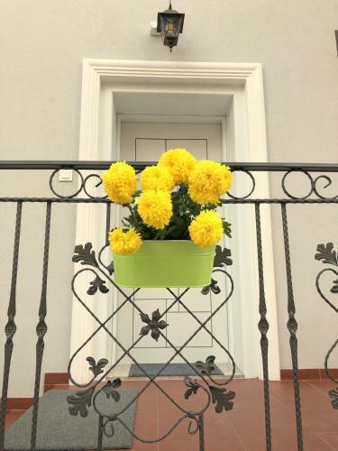 Luxury Apartments Plovdiv 3