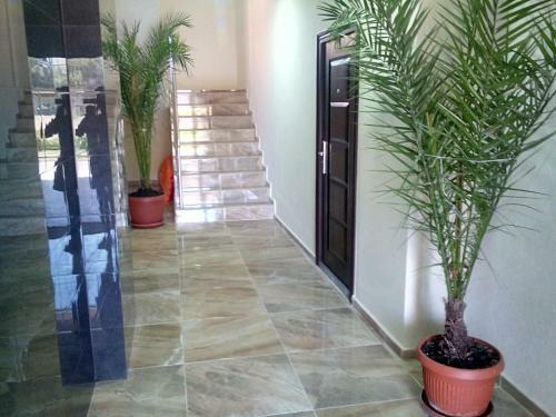 Apartment Biliana