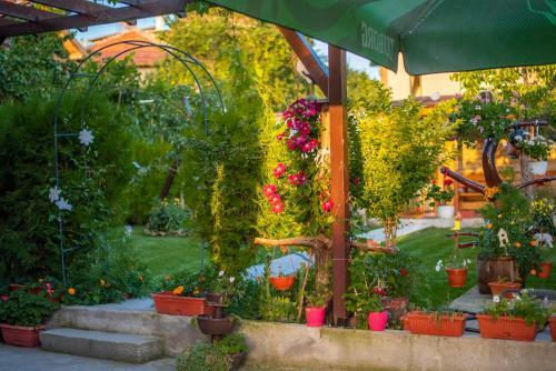 Hostal Guest House Vasilena