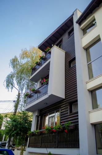 Hostal Guest House Dinevi