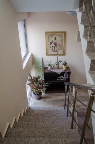 Hostal Guest House Dinevi