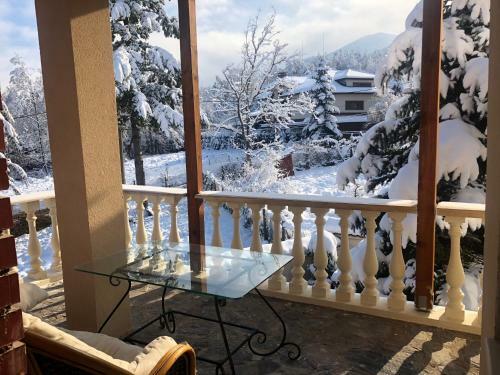 Hostal Guest House Alina
