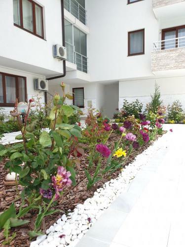 Apartamento Emerald Hills