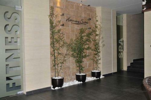 Gt Apartments In Harmony Suites