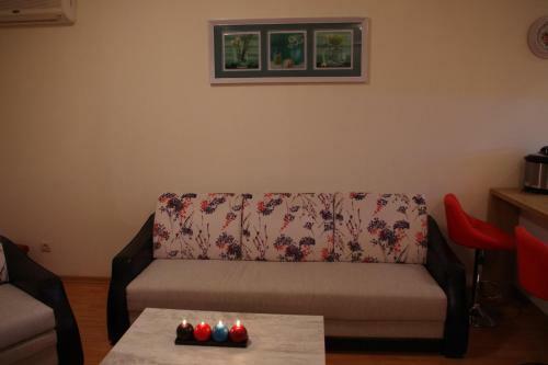 Apartment Garden Of Eden