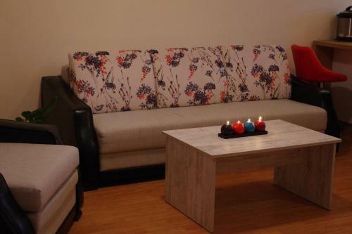 Apartment Garden Of Eden