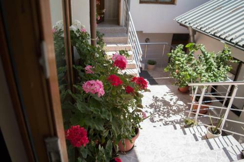 Hostal Guest House Byki