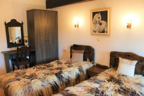 Hotel Sokay
