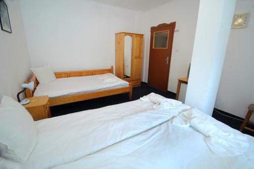 Family Hotel Izvora