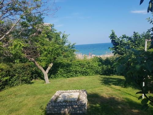 Stella Apartments 3 Kabakum