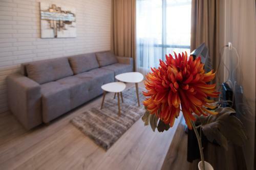 City Apartments Triumph
