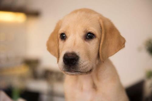 Hostal Dali Yi Nian Guesthouse