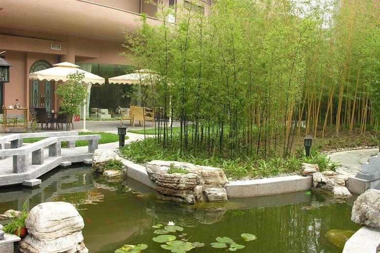 Asia Hotel Beijing
