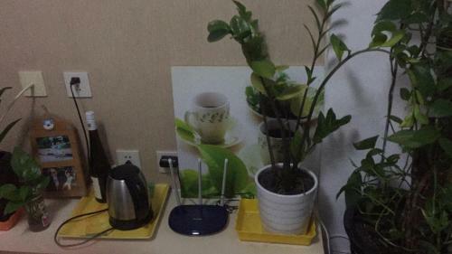 Beijing Tsinghua University Apartment