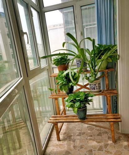 �r�mqi New Home Apartment