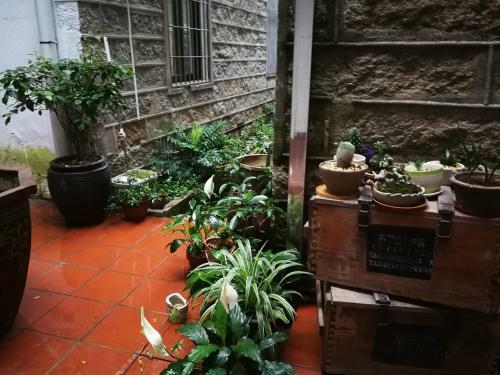 Hostal Life 3.0 Guesthouse