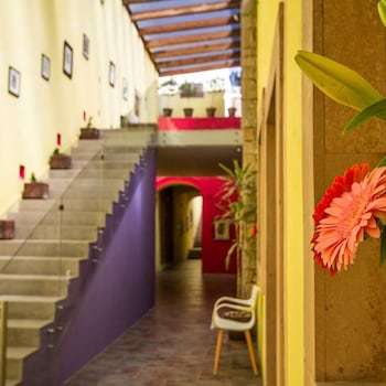 Monteleon Hotel And Suites