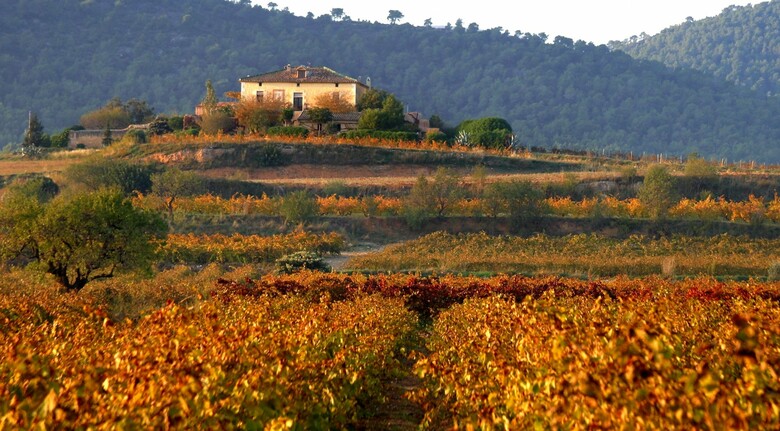 Hotel Castell De Gimenelles