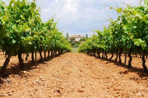 Hotel Castell De Gimenelles