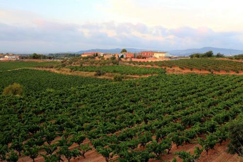 Hotel Castell De Gimenelles