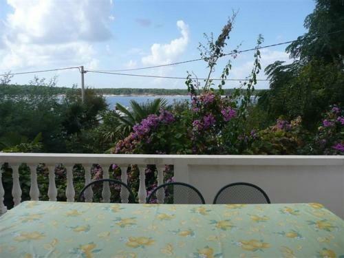 Apartment In Barbat/insel Rab 16473