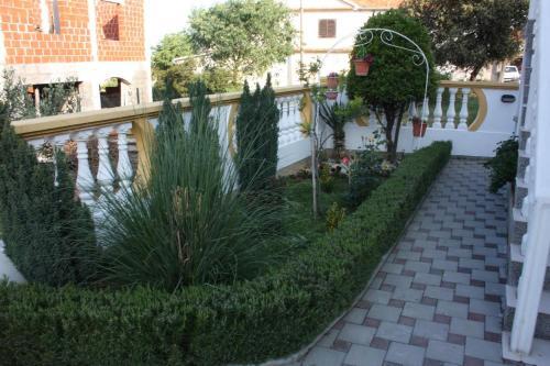 Apartment Bibinje 6189a