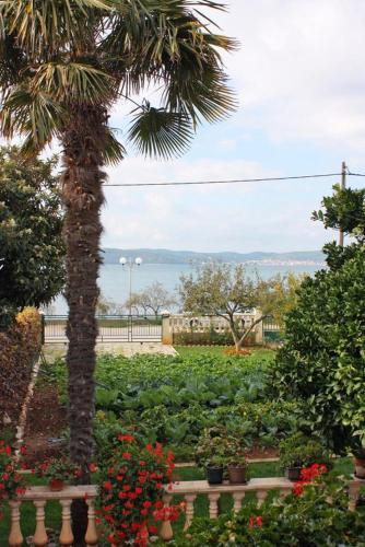 Apartamentos Studio Bibinje 5866a