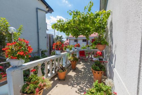 Apartment In Crikvenica 5569