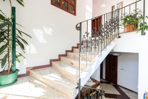 Apartments & Rooms Tapera