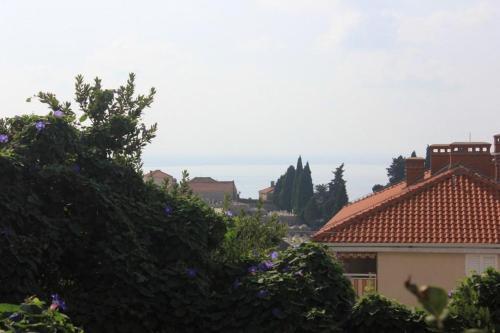 Apartments With Wifi Dubrovnik - 8582