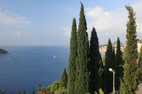 Apartments With Wifi Dubrovnik - 8600