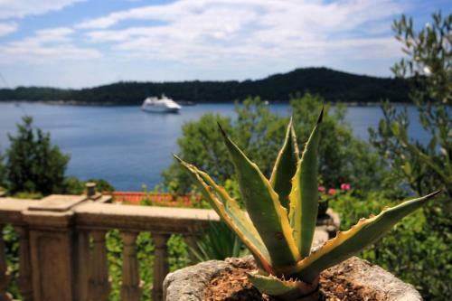 Apartamentos Studio Dubrovnik 9077a