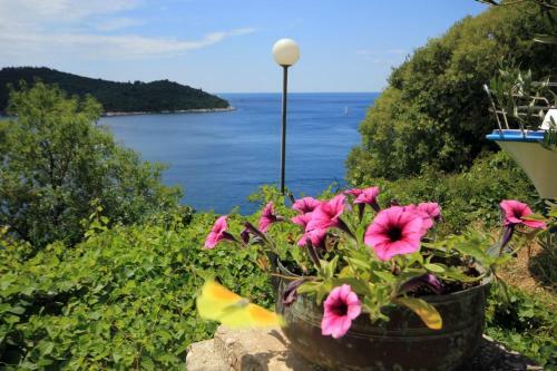 Apartamentos Studio Dubrovnik 9077a