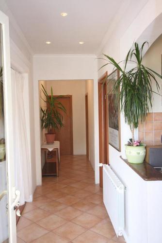 Apartments With A Parking Space Dubrovnik - 4688